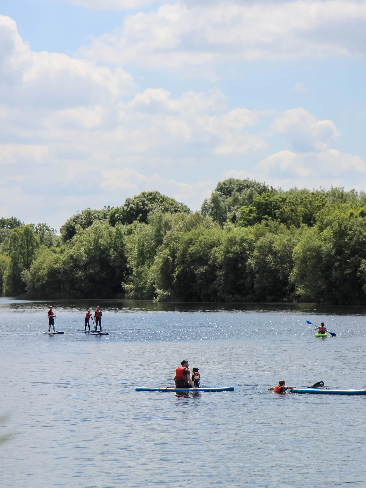 People kayaking near trees during a daytime outdoor trip