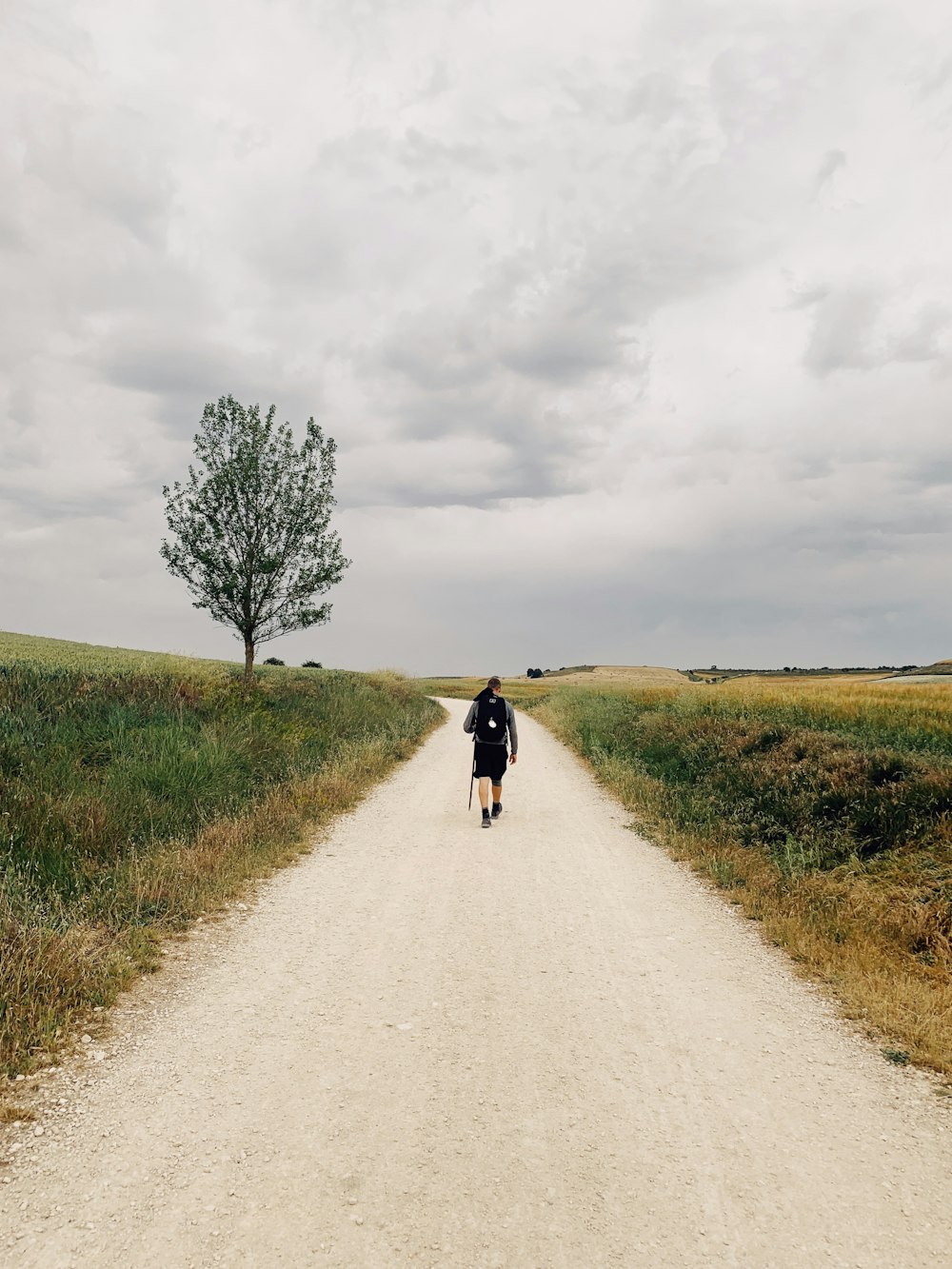 person walking on road near green open field under white skies