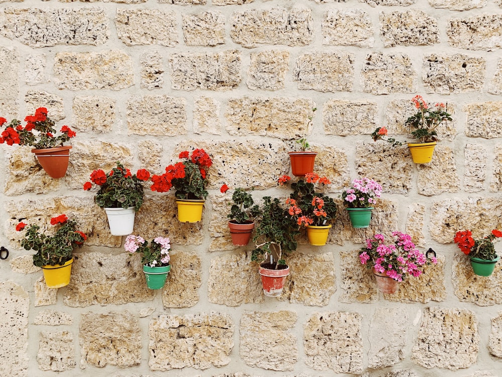 assorted-type flowers with vase on wall