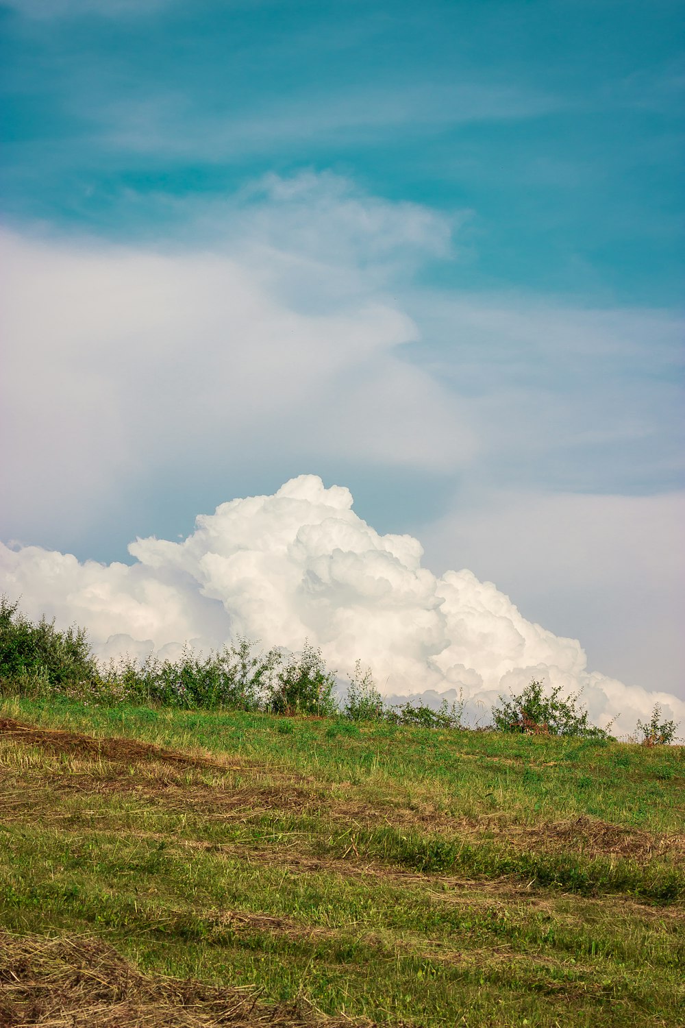 white clouds and blue sky