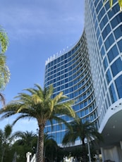 curtain-wall building under blue sky