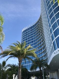 curtain-wall building under blue sky