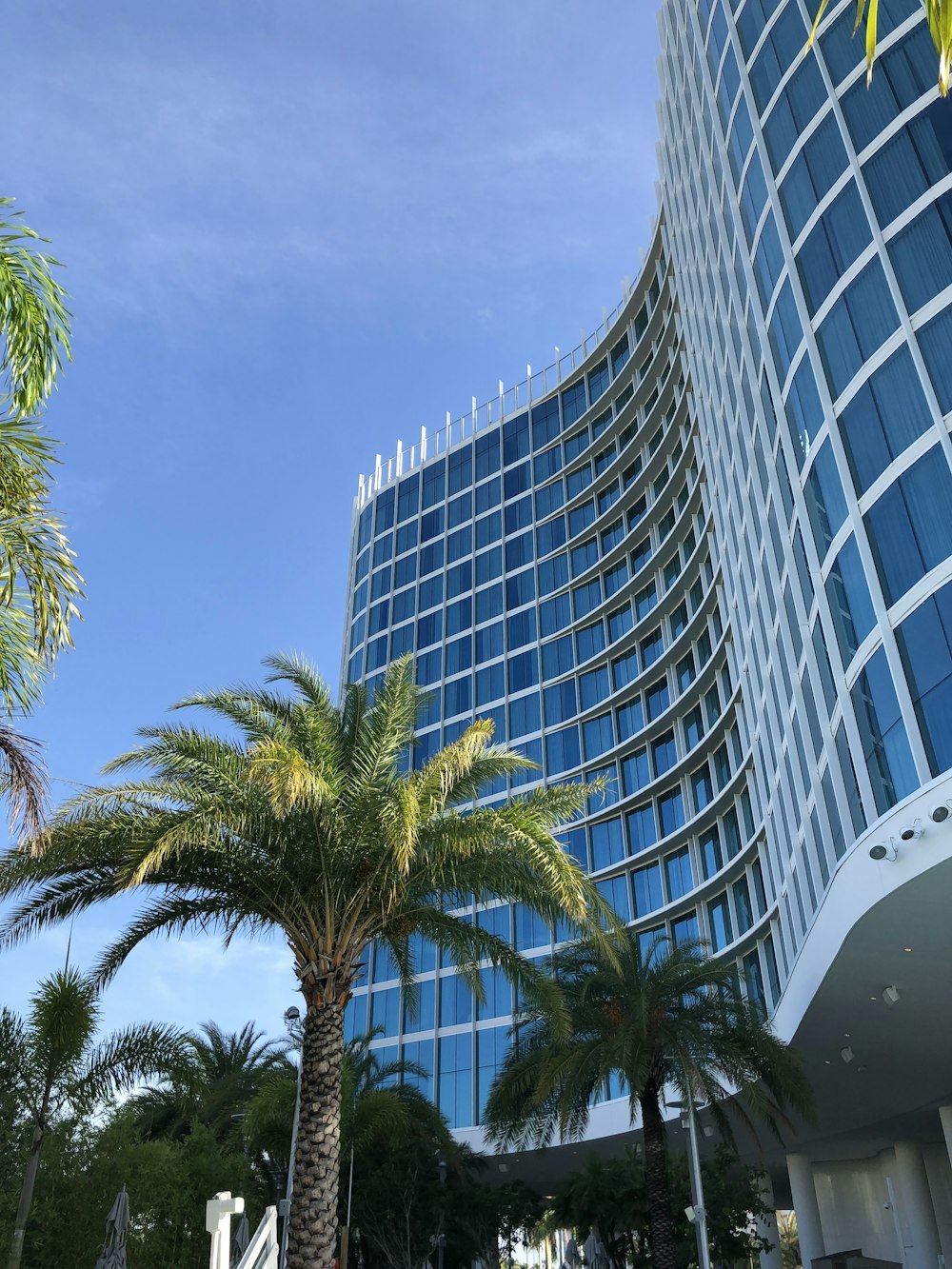 curtain-wall building under blue sky