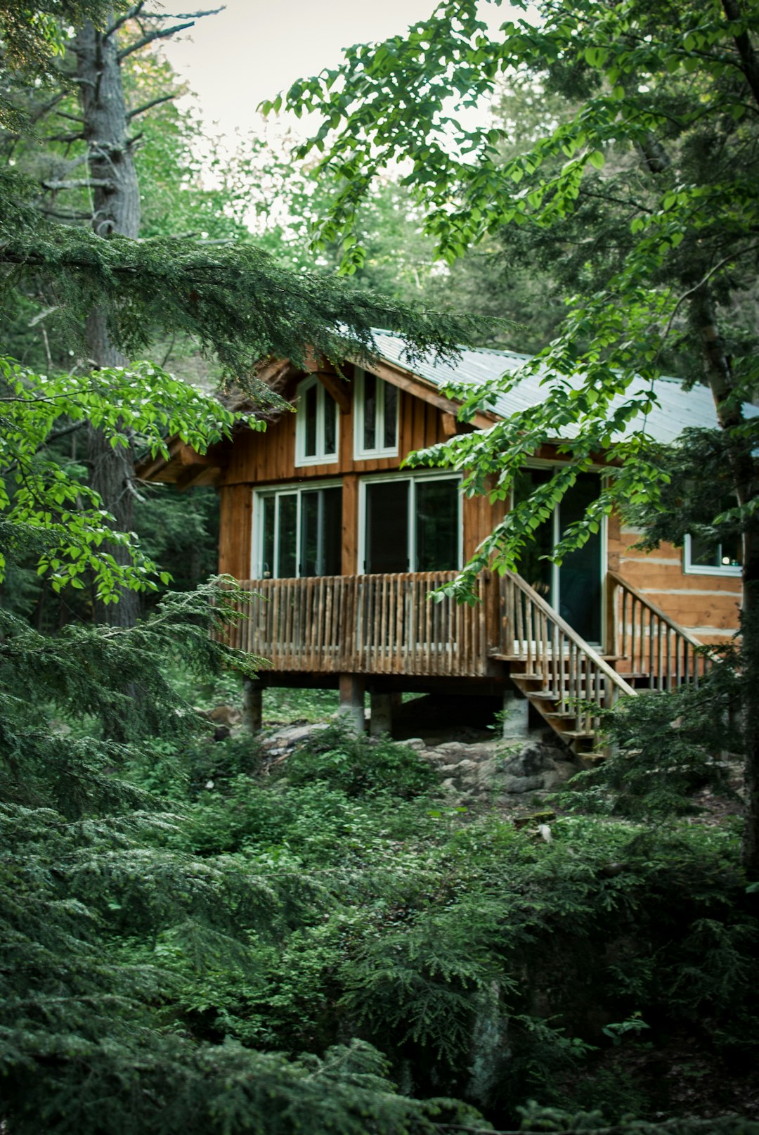 wooden house at forest