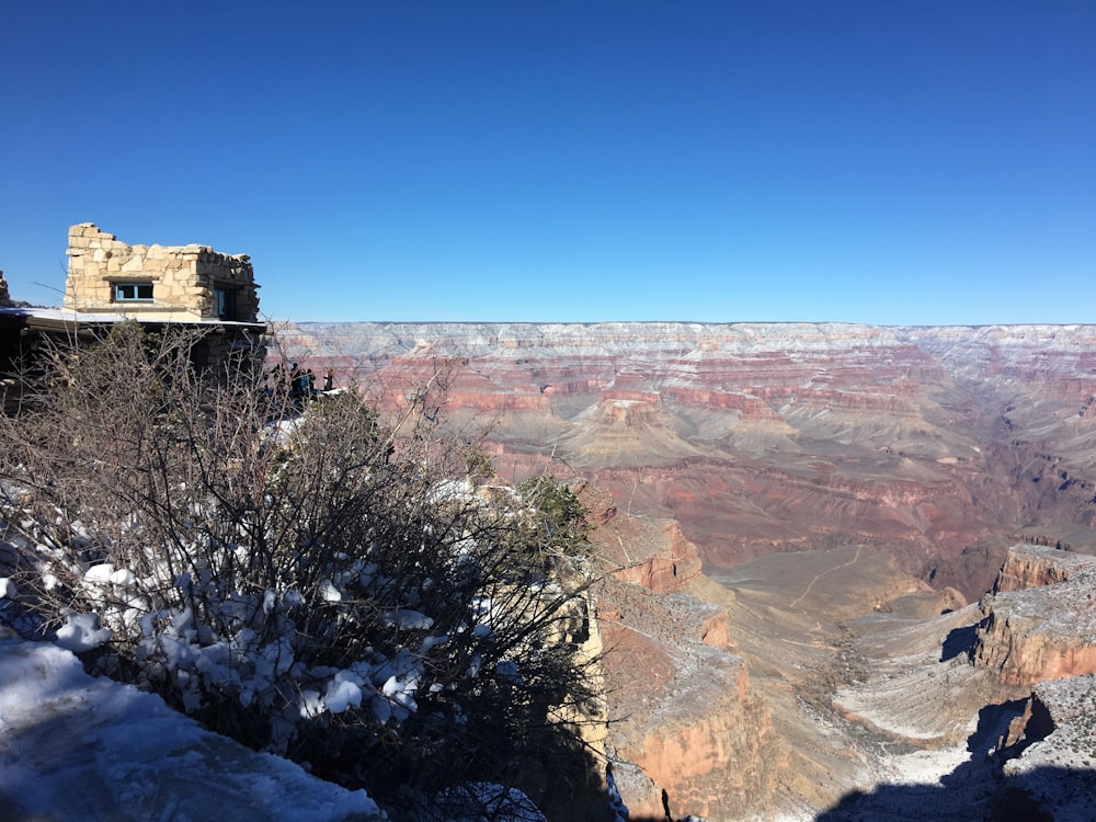 Grand Canyon view during daytime