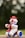 A toy clown with a round, cheerful face is riding a tricycle. The clown is characterized by its red, round nose, a bright red hat, and purple cheeks. It has a blue collar and rides a tricycle with blue and white wheels. The background is softly blurred, hinting at an outdoor setting.