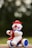 A toy clown with a round, cheerful face is riding a tricycle. The clown is characterized by its red, round nose, a bright red hat, and purple cheeks. It has a blue collar and rides a tricycle with blue and white wheels. The background is softly blurred, hinting at an outdoor setting.