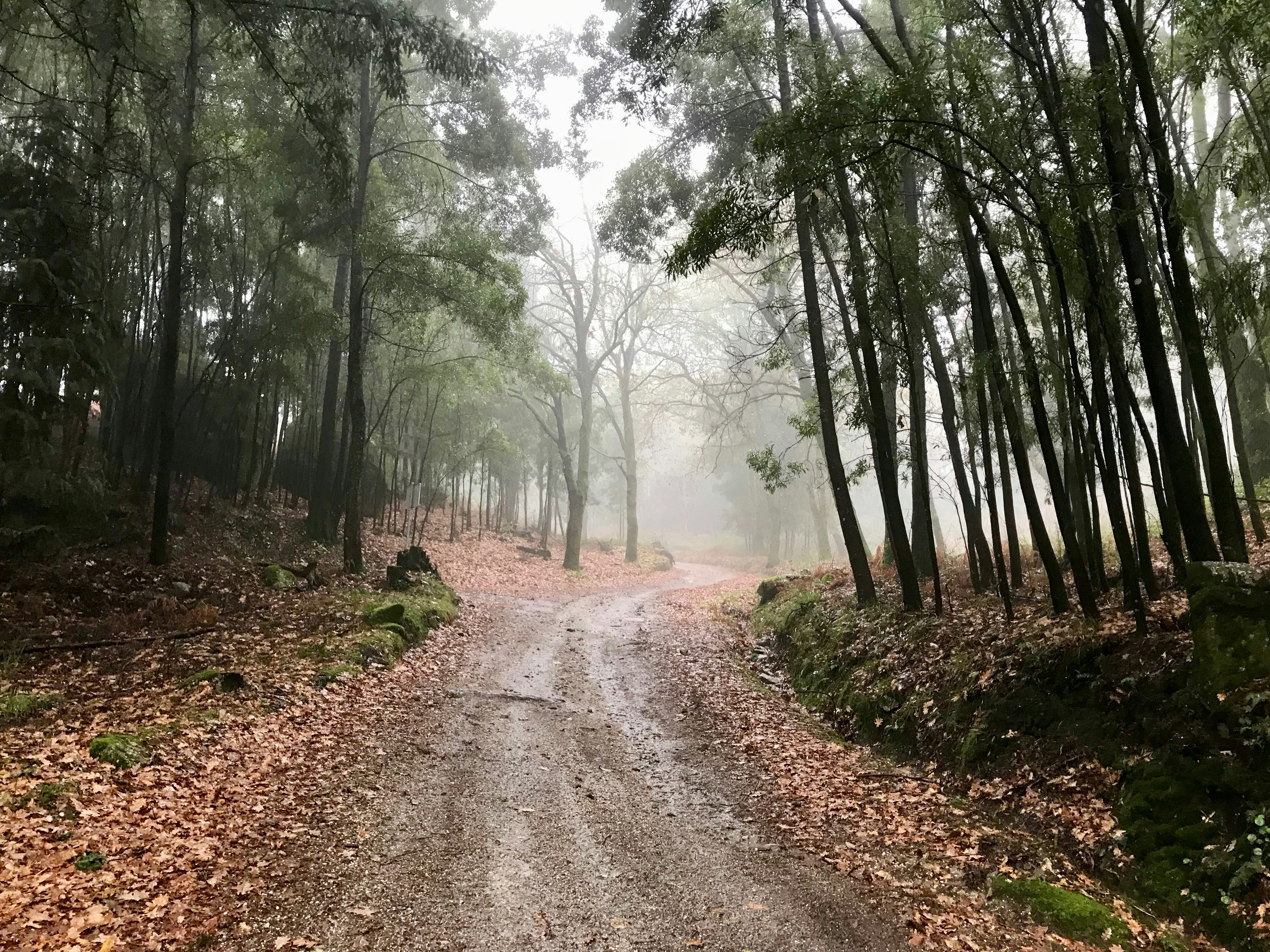 Photo by arturazevedo