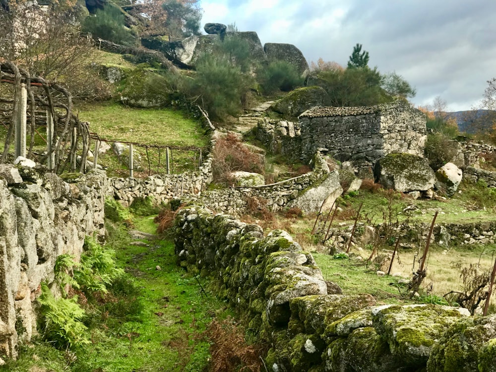 grass road with rock walls on mountain