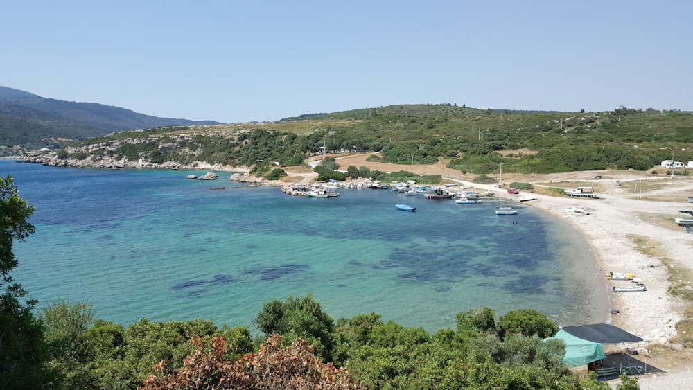 boats on body of water near shore