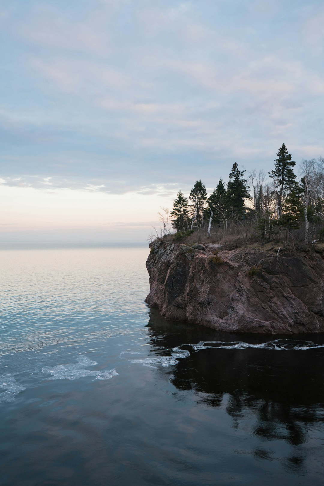 trees on island during day