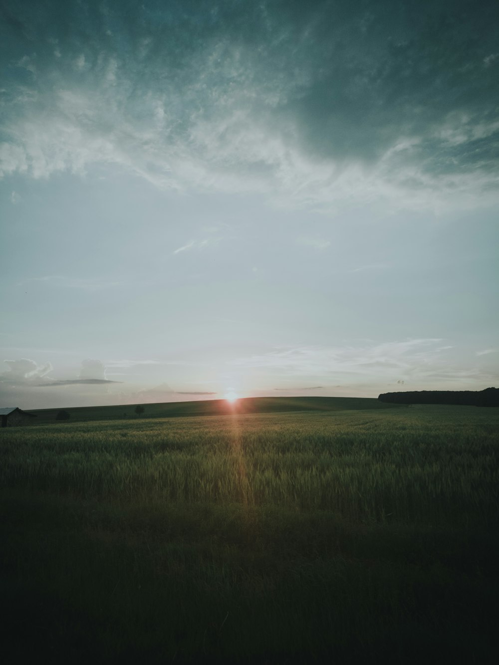 golden hour photography of field