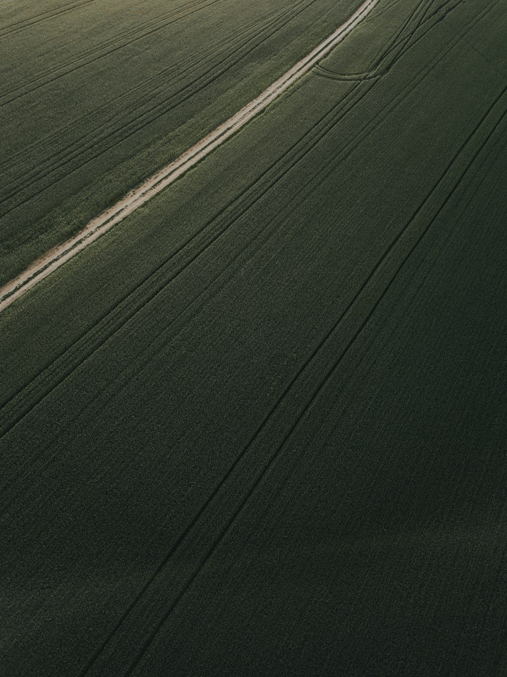 aerial photo of road in between green field during daytime