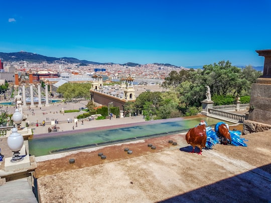 aerial photography of buildings in Museu Nacional d'Art de Catalunya Spain