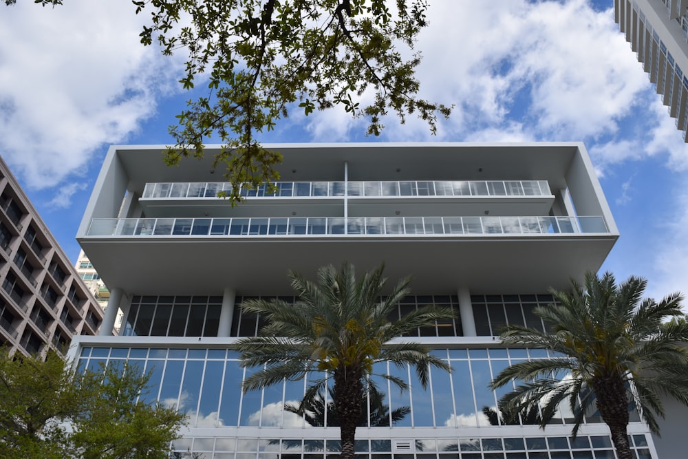 green palm trees in front of concrete building