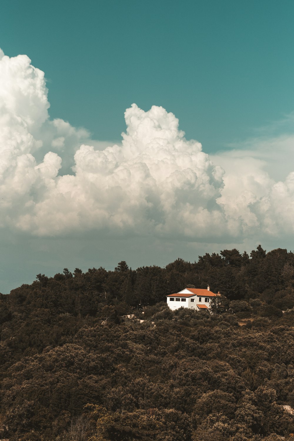 white concrete house