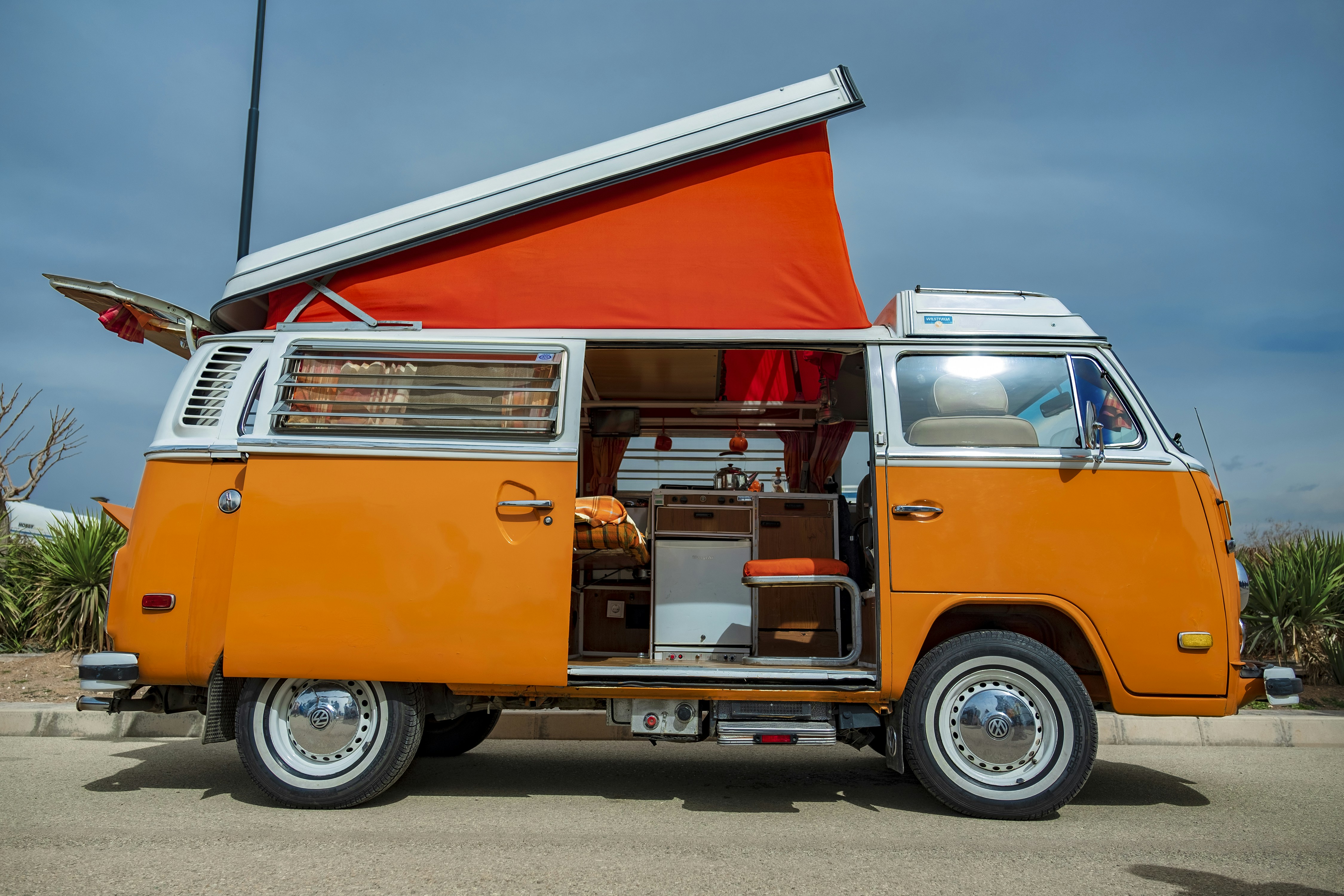 Photo by aminsafaripour