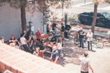people near trees