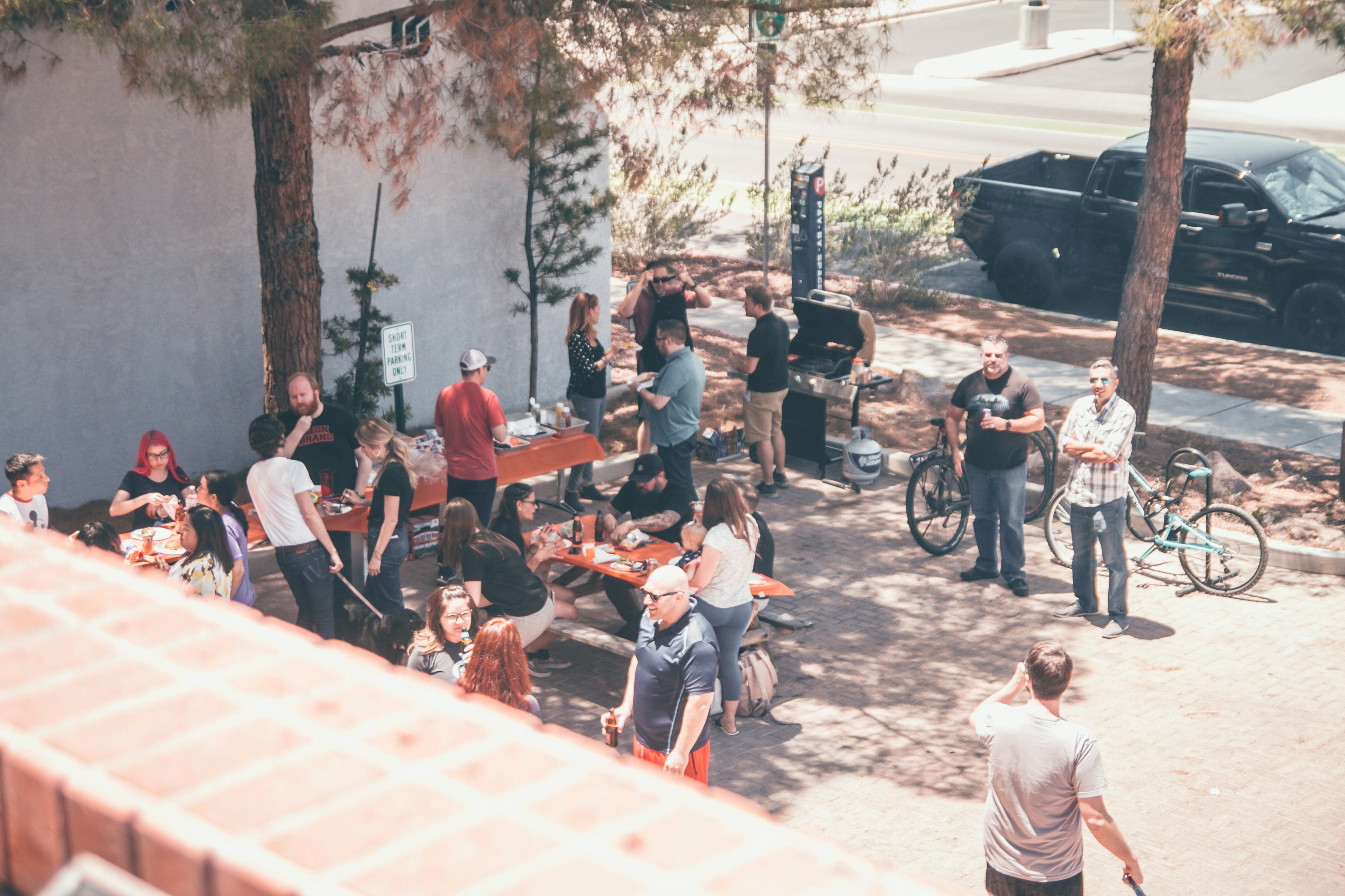 people near trees