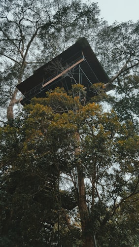 TreeHouse Homestay in Vythiri Resort