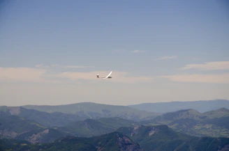 A modern light sport aircraft soaring gently above green fields under a clear blue sky.