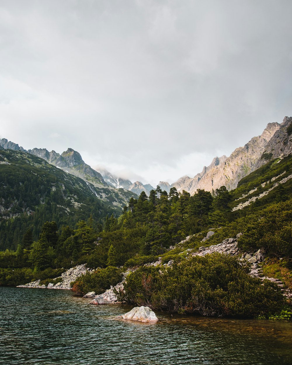 body of water, trees, and mountains