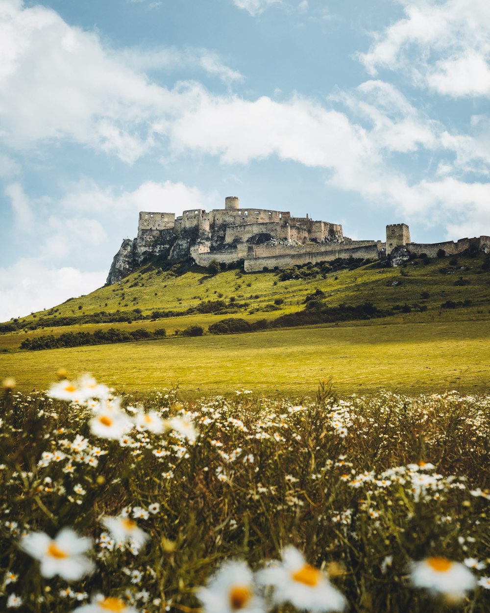 Château beige sur la colline