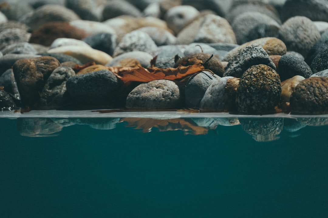 body of water beside pebbles