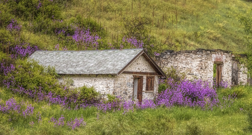 gray house near flowers during daytime