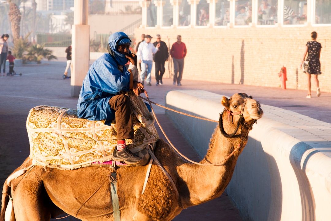 man riding on brown camel