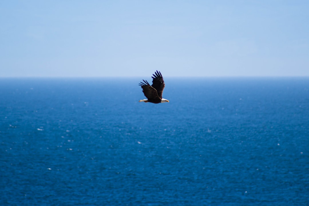 Revitalizing Nature: How New York's Native Tribes Are Nurturing Ups… — Revitalizing Nature