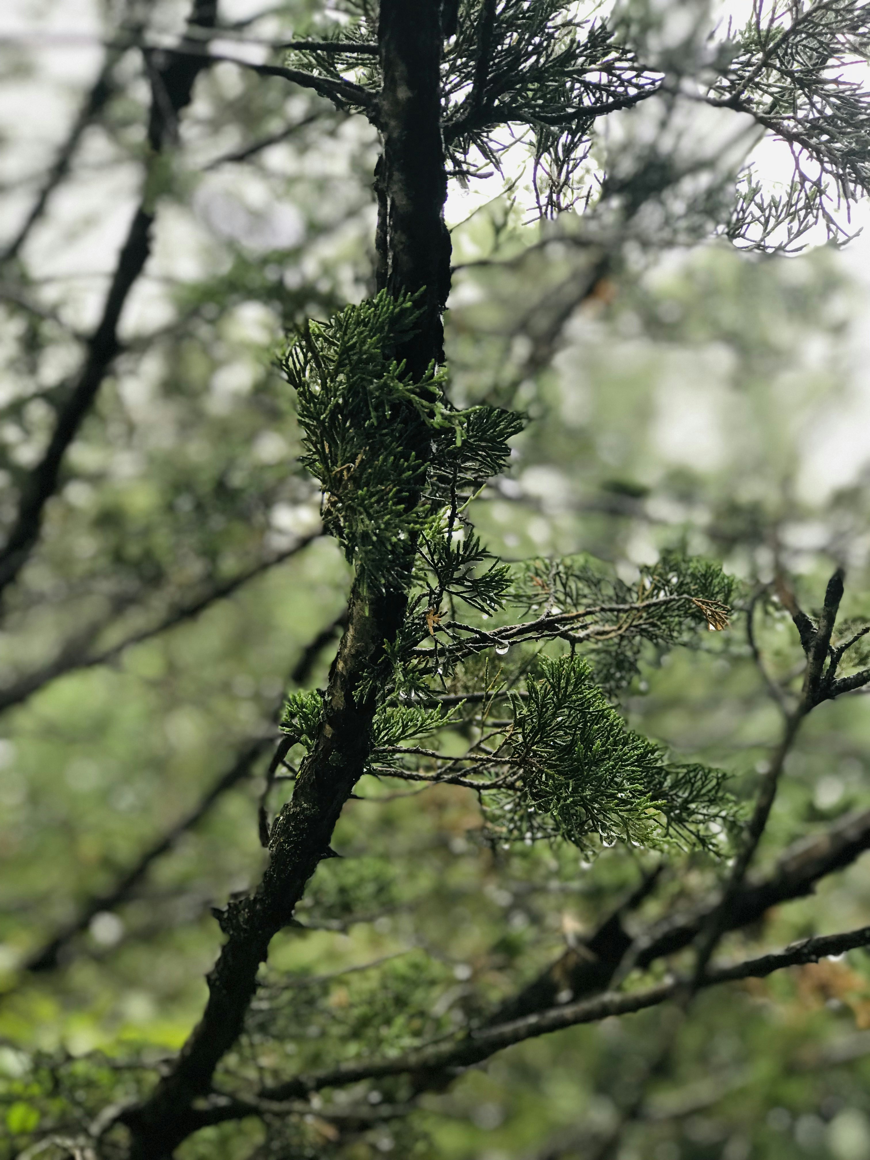 Photo by vasudha_nagaraju