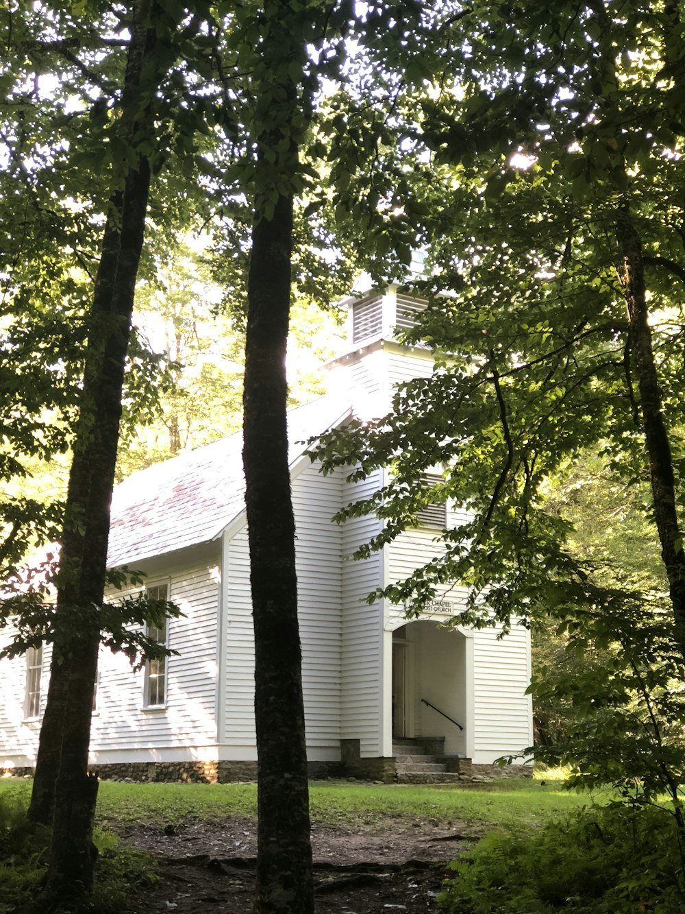 white building surrounded by trees