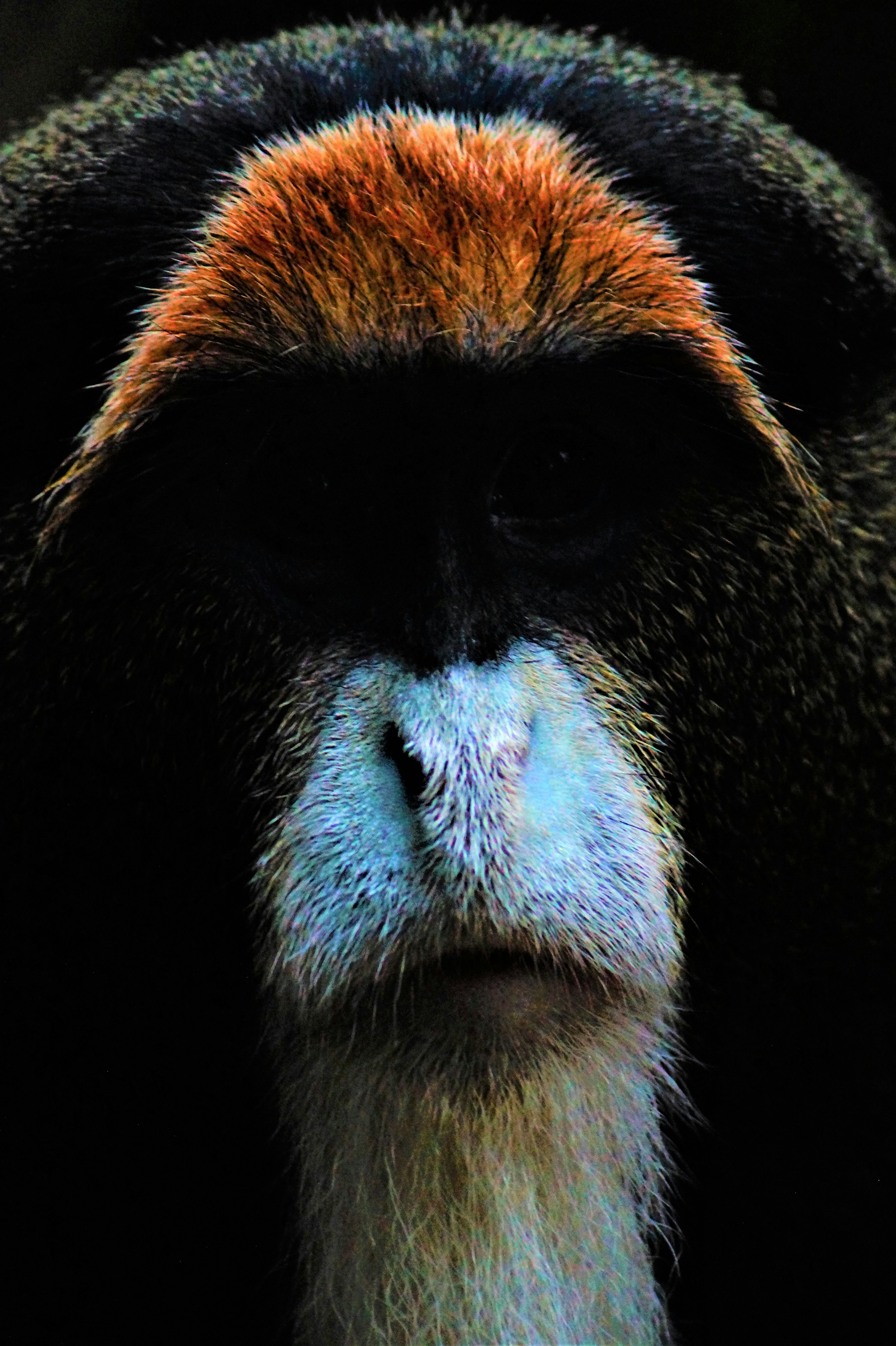 Portrait of Apurva's wise-looking yoga teacher.