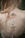 A close-up of a person's bare back with small flowers inserted into skin-colored adhesive bandages. The flowers are delicate and white, giving a natural and serene feel. The person's long hair drapes softly over the shoulder.