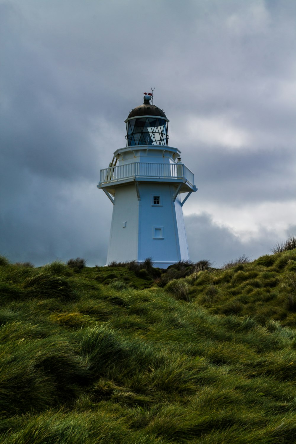 lighthouse surrounded with trees