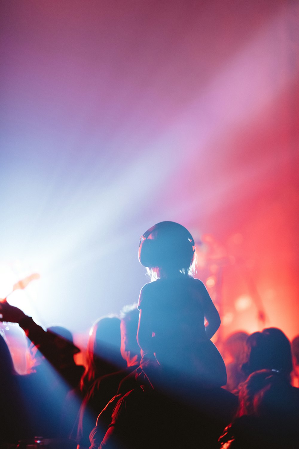 a person standing in front of a crowd at a concert