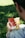 A person is holding a smartphone displaying a subscriber count on the screen, with the number 15,501,615 visible alongside a small profile picture. In the background, a fast-food drink cup and a paper bag sit on the grass, suggesting a casual outdoor environment.
