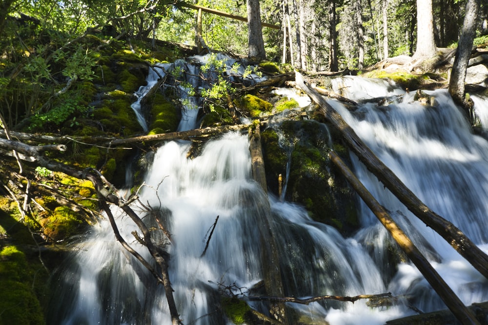 white cascading waterfalls in green moss covered cliff in forest