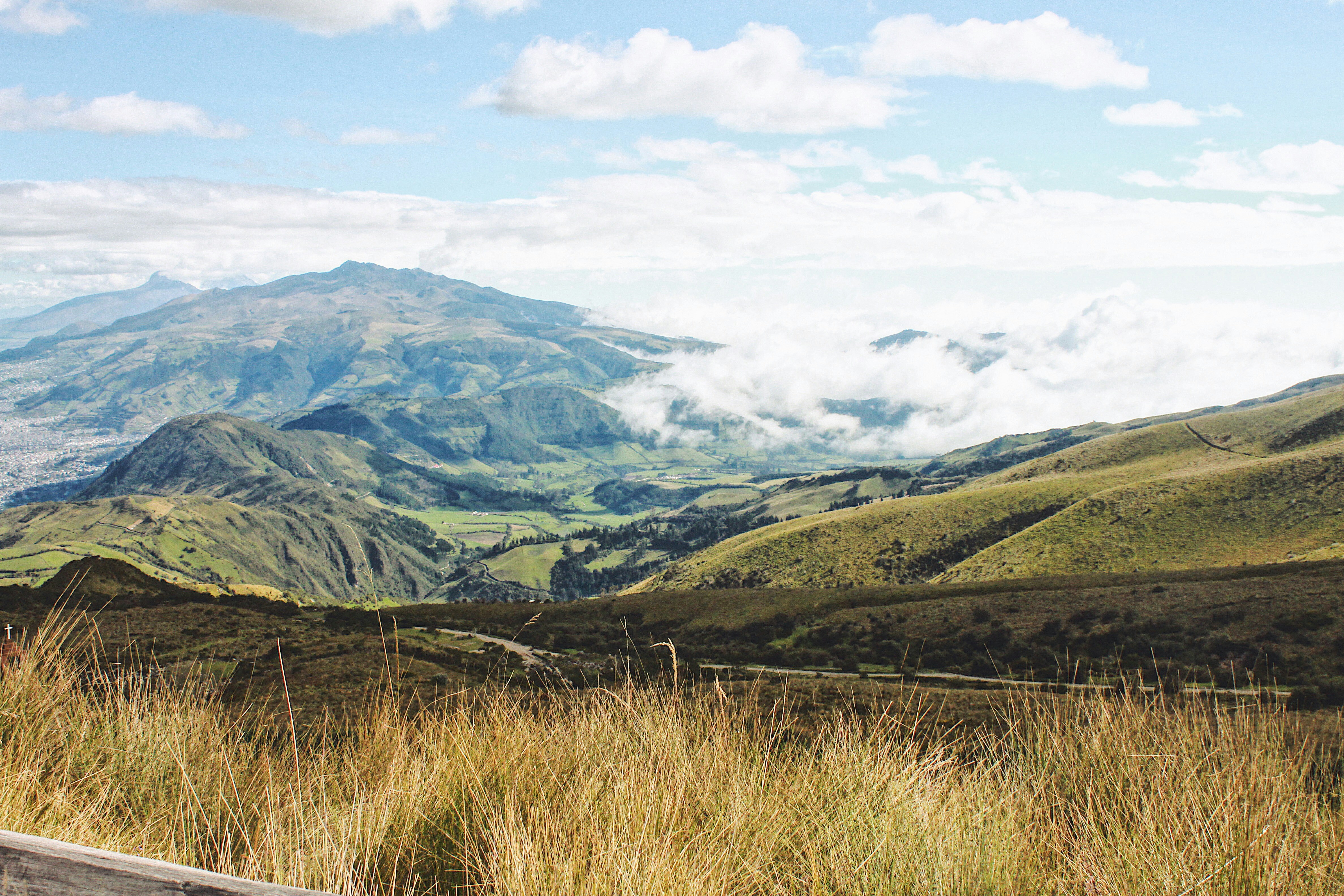 Photo by emilydafinchy