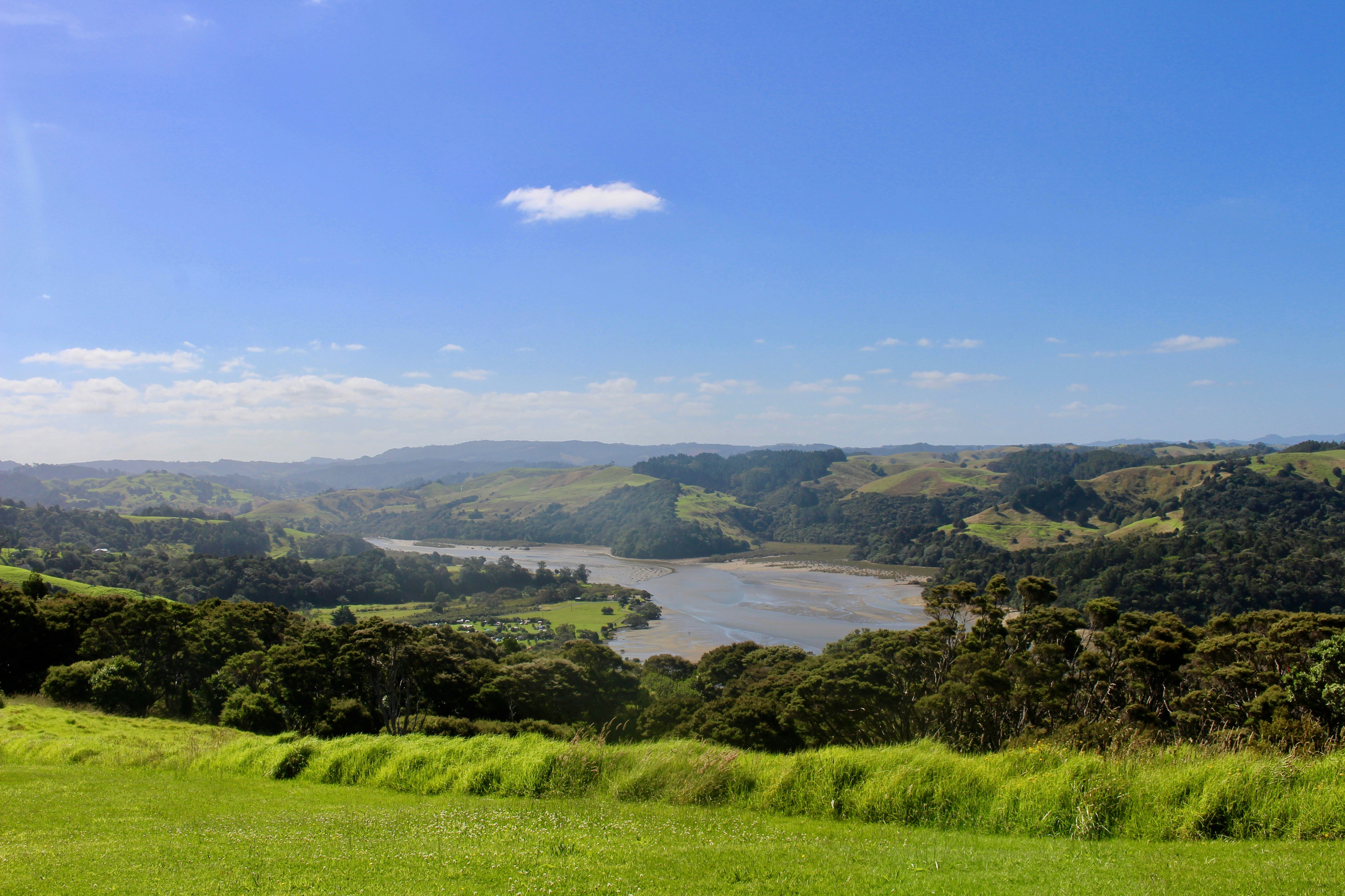 Photo by lachlancormie