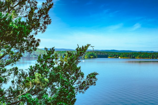 Arkansas