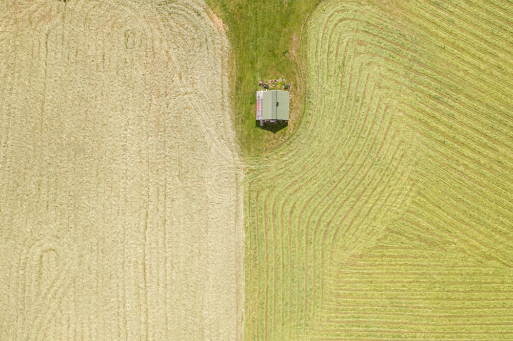 aerial photography of house surrounded with field