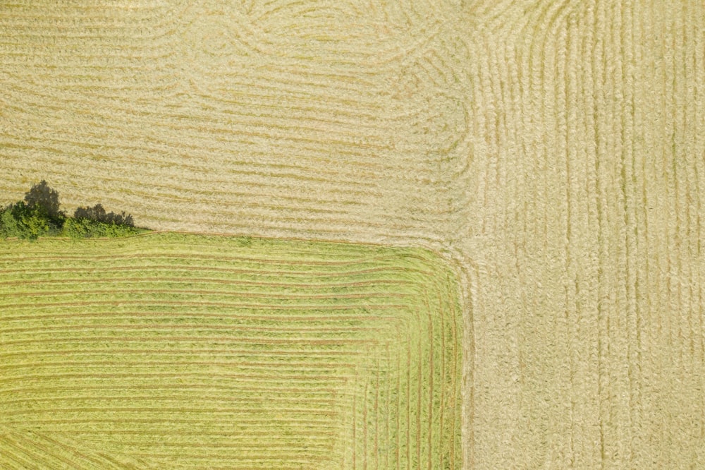 an aerial view of a field with a tree in the middle of it