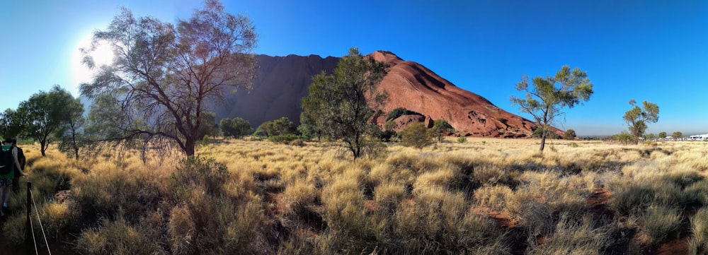 brown mountain at the plains under clear blue sky