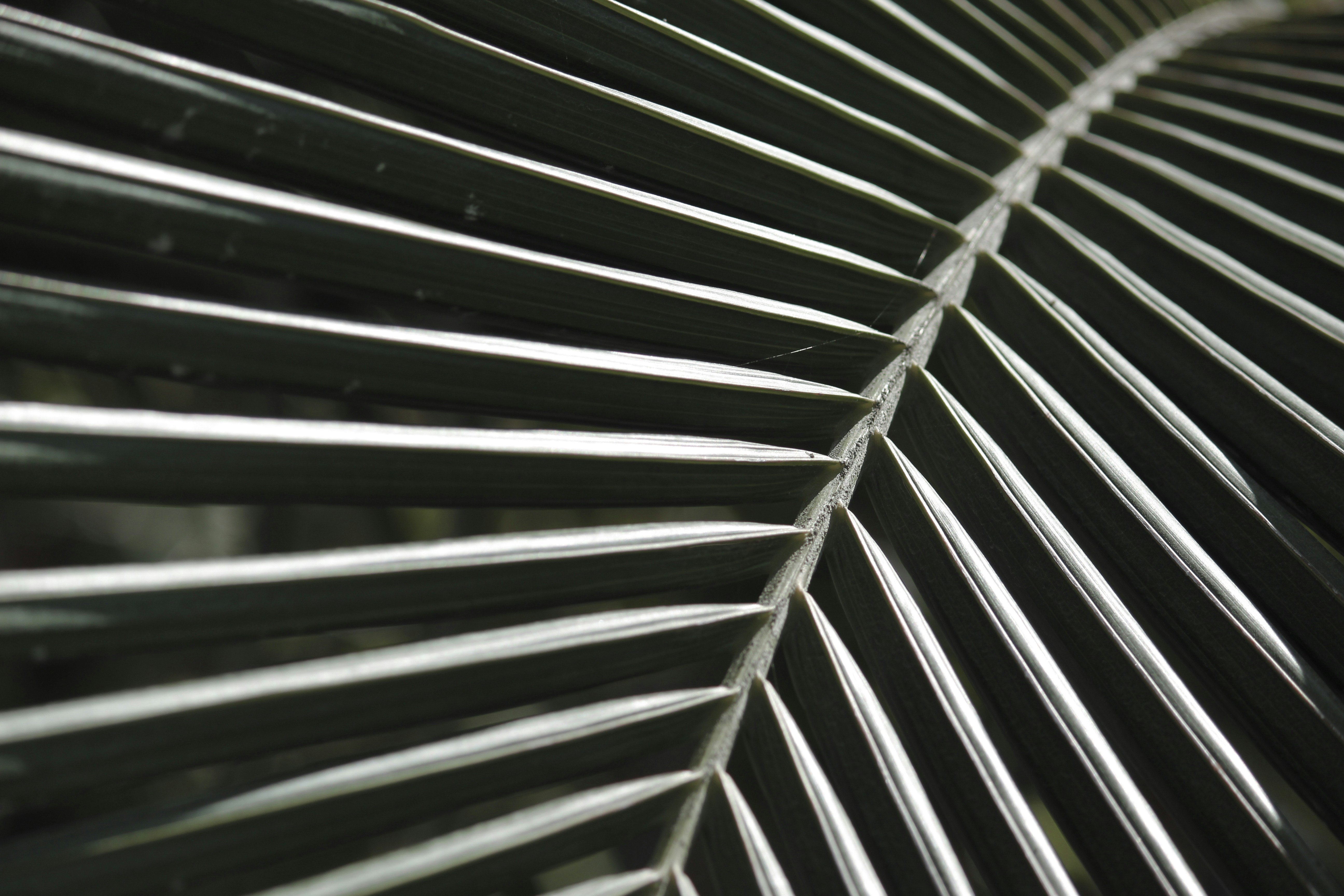 Photo by amandakariella