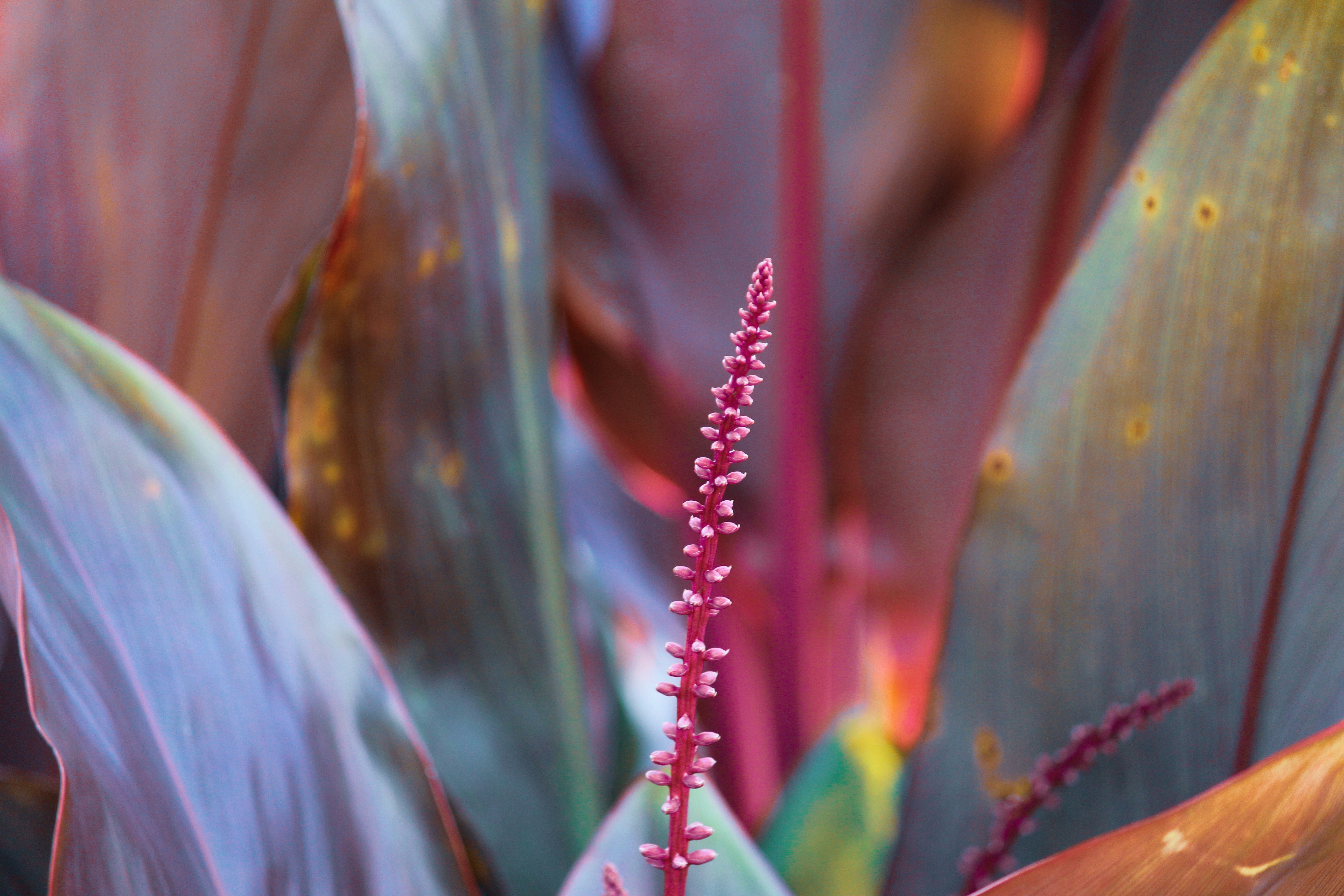 Photo by amandakariella