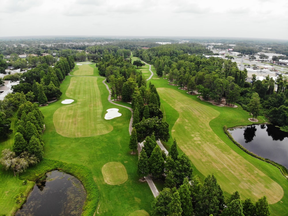 green trees, grass, and ponds