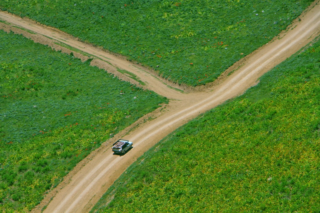 blue vehicle traveling on road