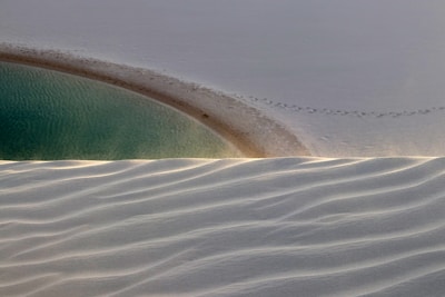 a bird flying over a sandy beach next to a wave